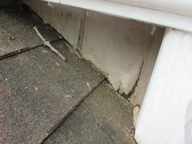 Home inspector checking roofing materials and flashing on a house in Michigan, emphasizing inspection details